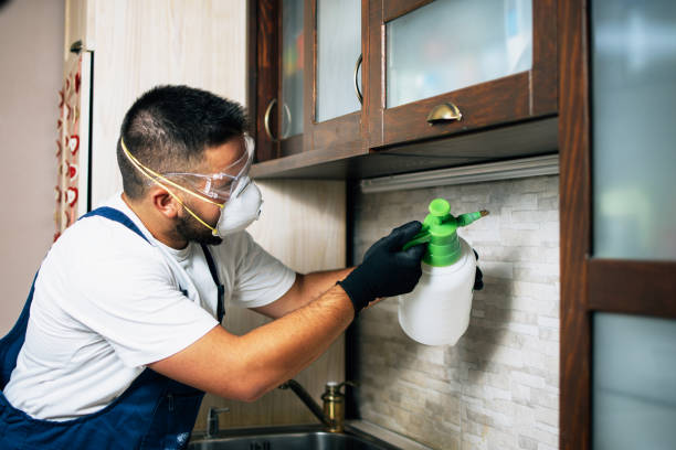 Best Pest Prevention Services  in Jefferson, MD