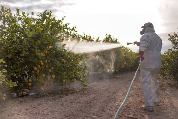 Pest Control for Restaurants in Jefferson, MD