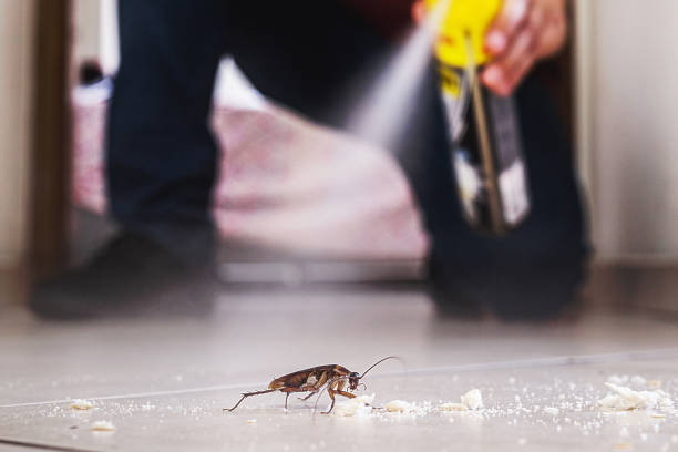 Pest Control Cost in Jefferson, MD