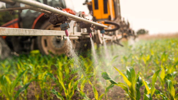Best Mosquito Control Services  in Jefferson, MD
